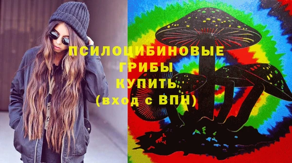 индика Алексеевка