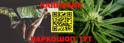 сатива Ирбит